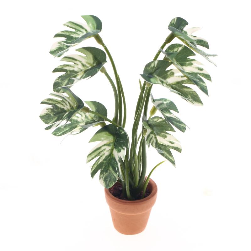 Landscape Bonsai Garden - Novo. 1PC Planta Verde Monstera em