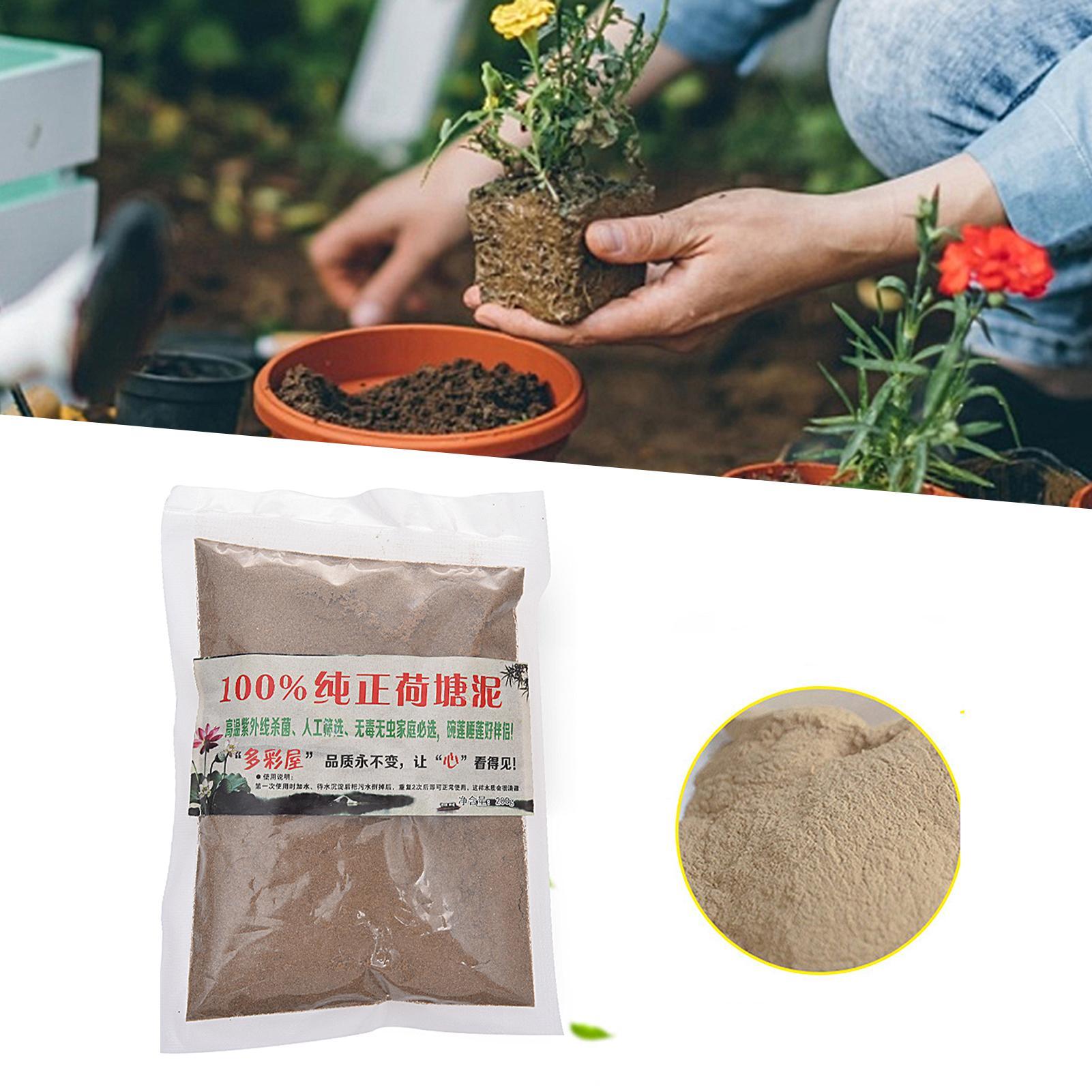 Solo Nutriente Natural para Ló - Bonsai Garden With Pond avaliação e preço