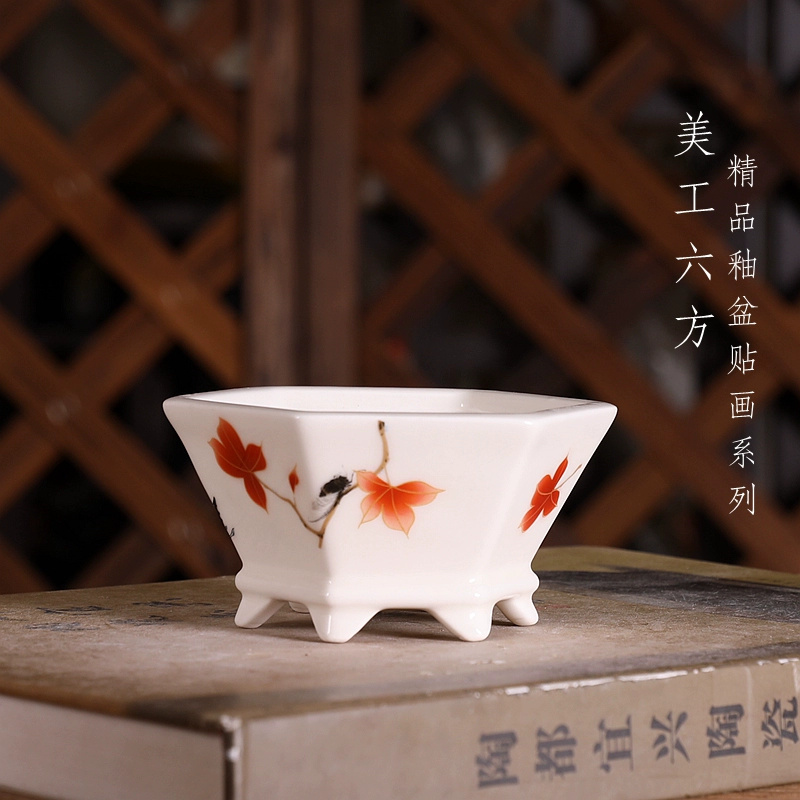 Vaso de Bonsai Hexagonal de Po - Bonsai Garden Chinese Garden avaliação e preço