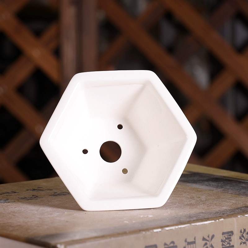 Vaso de Bonsai Hexagonal de Po - Bonsai Garden Chinese Garden avaliação e preço