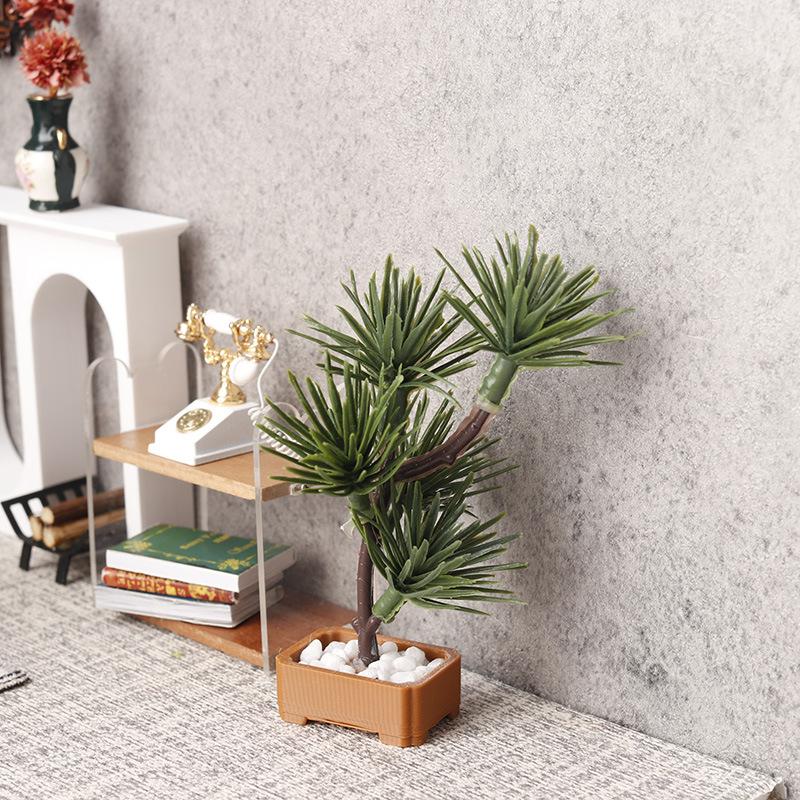 1 Peça de Árvore de Pinheiro S - Landscape Bonsai Garden avaliação e preço