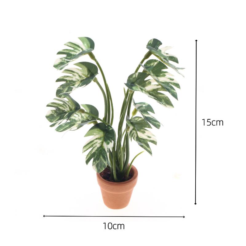 Novo. 1PC Planta Verde Monster - Landscape Bonsai Garden avaliação e preço