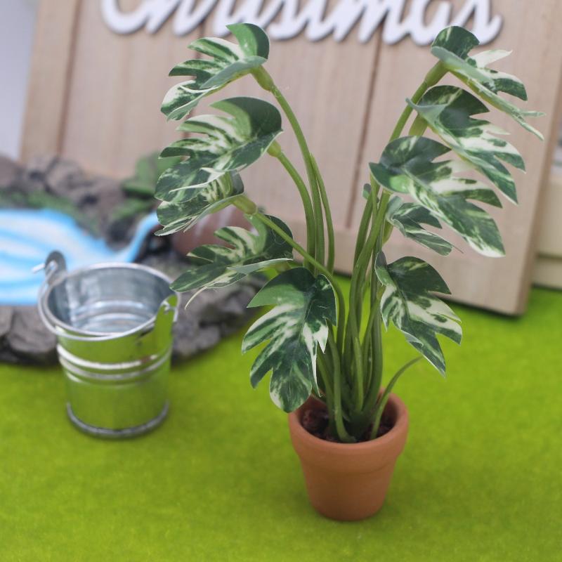 Novo. 1PC Planta Verde Monster - Landscape Bonsai Garden avaliação e preço